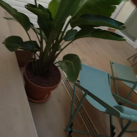 Aparthotel Club Nice